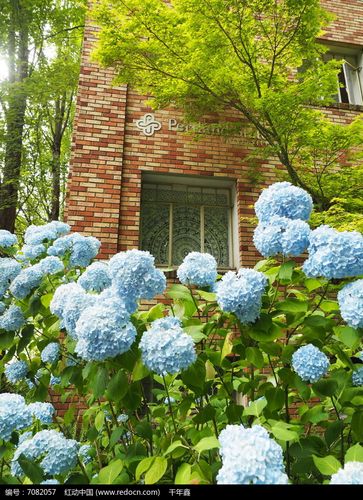 街角花卉种植于红砖建筑
